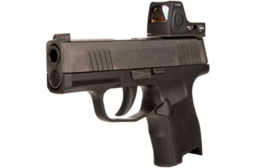 Image of Trijicon RMR Mount Plate for Sig Sauer 365, Black, AC32095