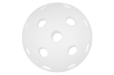 Image of Triumph Pickleball 4 Player Rec Set, 35-7199