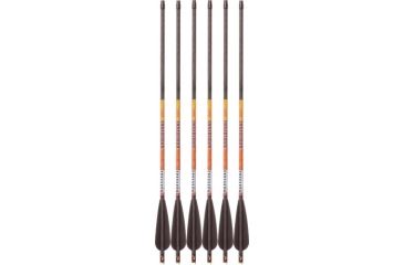 Image of Trophy Ridge Insidious Bolts, 20 in. 6 Pack, AXINS20