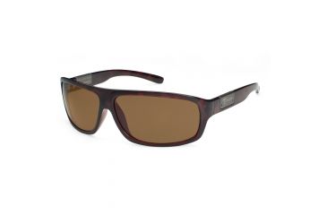 Image of Typhoon Gallatin Bifocal Rx Sunglasses, Tortoise Frame 939TBRBF