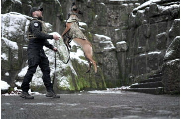 Image of UARM CBA Canine Body Armor, Type IIA Threat Level, Multicam, S, CBASM2A-SACBAS2A