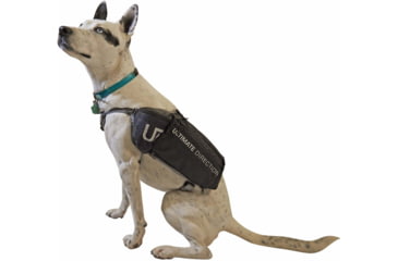Image of Ultimate Direction Dog Vest - Mens, Black, Small, 80469820BK-SM