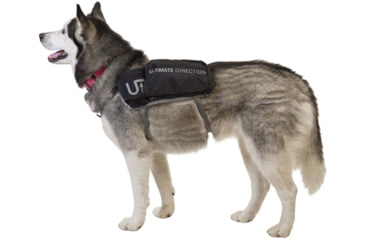 Image of Ultimate Direction Dog Vest - Mens, Black, Small, 80469820BK-SM