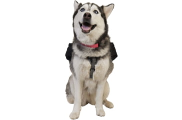 Image of Ultimate Direction Dog Vest - Mens, Black, Small, 80469820BK-SM
