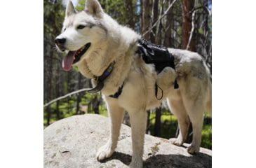 Image of Ultimate Direction Dog Vests - Unisex, Black, Large, 80479723ONX-LG