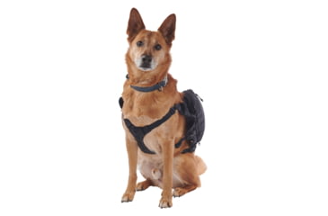 Image of Ultimate Direction Dog Vests - Unisex, Black, Large, 80479723ONX-LG