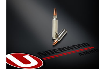 Image of Underwood Ammo .223 Remington 62 Grain Solid Copper Hollow Point Boat Tail Nickel Plated Brass Cased Rifle Ammo, 20 Rounds, 422
