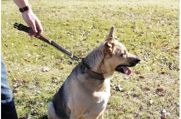 Image of United States Tactical Dog Collar w/ Quick-Release Buckle, Coyote, Medium UST-K9C00102QM