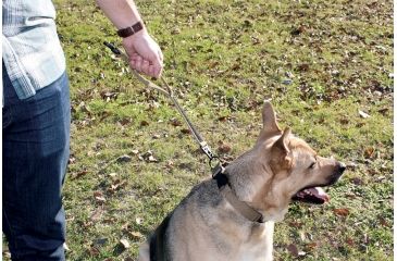 Image of United States Tactical Dog Collar w/ Quick-Release Buckle, Coyote, Medium UST-K9C00102QM