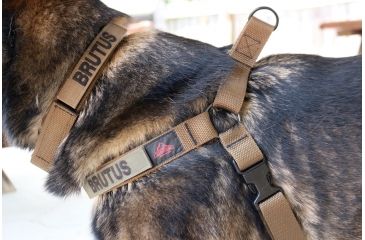 Image of United States Tactical Collar, Quick-Release Buckle, Coyote, Medium, UST-K9C00102QM