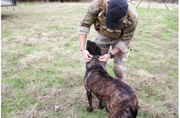 Image of United States Tactical Dog Collar w/ Quick-Release Buckle, Olive Drab, Large UST-K9C00103QL