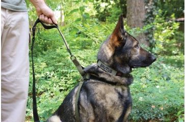 Image of United States Tactical Collar, Quick-Release Buckle, Olive Drab, Large, UST-K9C00103QL