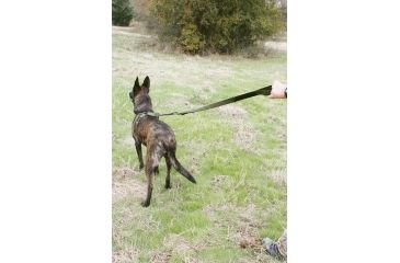 Image of United States Tactical Two-Piece Leash, Quick-Release and HK Hook, Olive Drab, UST-K9L00103QH