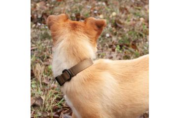 Image of United States Tactical K9 Flashbang Collar, Coyote, UST-K9C00302