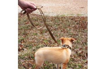 Image of United States Tactical K9 Flashbang Leash, Coyote, UST-K9L00402