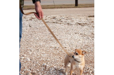 Image of United States Tactical K9 Flashbang Leash, Coyote, UST-K9L00402