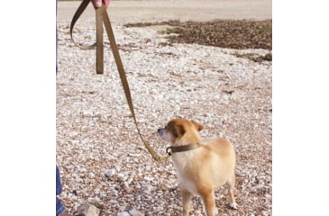 Image of United States Tactical K9 Flashbang Leash, Coyote, UST-K9L00402
