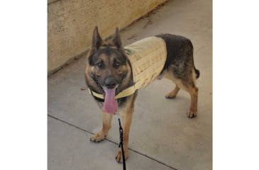 Image of United States Tactical Warrior Vest