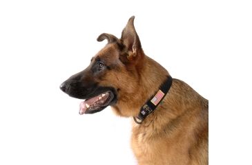 Image of Cynology War Labs Standard Collar, Large, Black