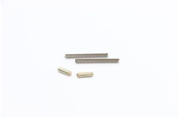 Image of V Seven Springs and Detents For Takedown/Pivot Pins, Includes 2 Springs and 2 Detents TDP-SPRDET