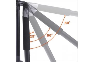 Image of Vanguard Alta+ 203AP Aluminum Tripod with Panhead