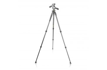 Image of Vanguard Alta Pro 2+ 263AP Aluminum Tripod with Pan Head and Multi-Angle Center Column, Gray, Alta Pro 2+ 263AP