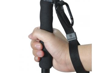 Image of Vanguard GMP-2 Gunpod