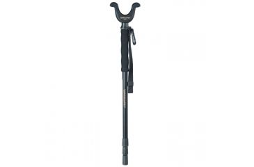 Image of Vanguard GMP-2 Gunpod