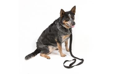 Image of Viking Tactics VTAC Ranger Buddy Dog Leash/Collar Combo, Black, Large VTAC-RB-DLC-LG