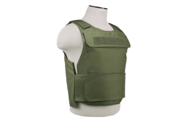 Image of VISM Discreet 2XL+ Plate Carrier, Green, CVPCVDXL2975G