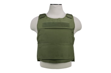 Image of VISM Discreet 2XL+ Plate Carrier, Green, CVPCVDXL2975G
