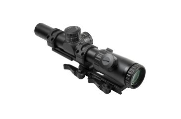 Image of Vism Evolution 1.1-4X24 Scope/ Mil-Dot/ And Vism Vmsprb Mount Combo, BLACK VEVOFM11424G/SPR