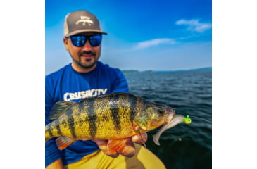 Image of VMC Tungsten Moon Eye Jig
