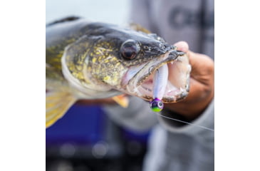 Image of VMC Tungsten Moon Eye Jig