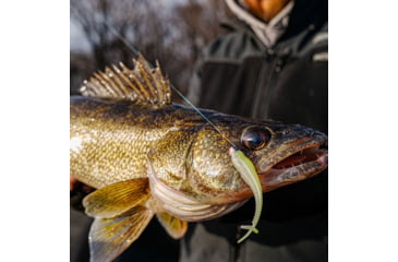 Image of VMC Tungsten Moon Eye Jig