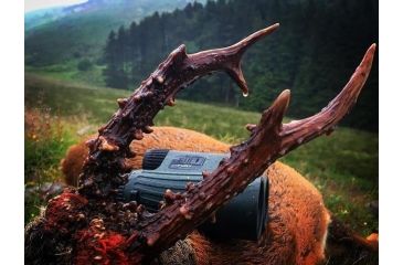 Image of Vortex Fury 10x42 Roof Prism Binocular, LRF, LRF300