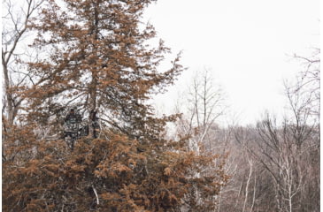 Image of Vortex Razor UHD 10x32mm Binocular, Green, 9.37x8.25x4.75, RZB-1032