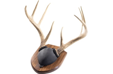 Image of Walnut Hollow Antler Mount Kit 1302344