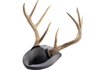 Image of Walnut Hollow Antler Mount Kit 1302345