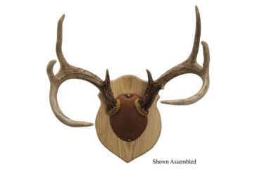 Image of Walnut Hollow Antler Mounting, Kit Solid Oak 38324