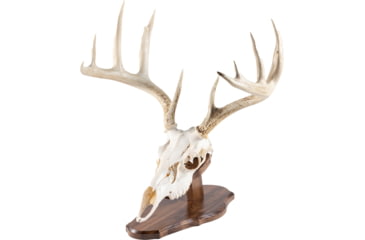 Image of Walnut Hollow Euro Mount Kit 1302348