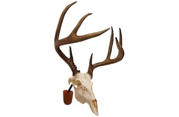 Image of Walnut Hollow Euro Skull Mount Kit, Brown, 41852