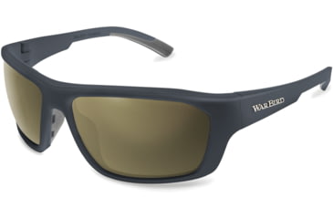 Image of WarBird Enfilade Glasses