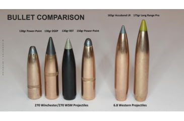 Image of Ammunition Size Comparison