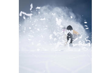 Image of Weston Backwoods Snowboard, Green, 152, 22.006.005.152V0