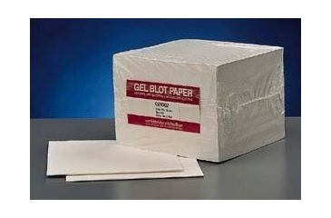 Image of Whatman Gel Blotting Papers, Whatman 10427826 Grade GB003 Blotting Sheets