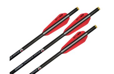 Image of Wicked Ridge Carbon Arrow 20 in 400 gr, Pack of 3, HEA-723.3