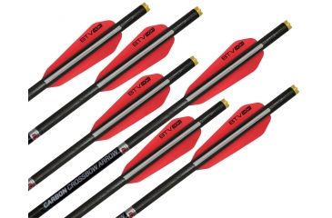 Image of Wicked Ridge Carbon Arrow 20 in, Pack of 6, HEA-723.6
