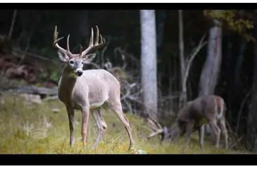 Image of Wildgame Innovations ZeroTrace PureION Field Generator, Camo, WGI-WGIPG0001