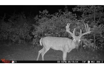 Image of Wildgame Orbit 360 Cellular Camera 36MP, 1410206